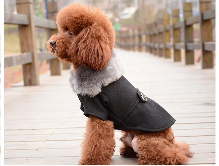 Dog Clothes Super Warm Small Dogs Clothing Pet Outfits Autumn Winter Cartoon Coat Thicker Chihuahua Boy Designer Dog Clothes