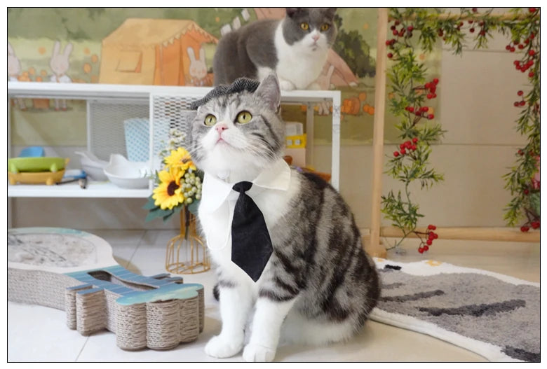 Funny Pet Cat Hat Gentleman's Hat Beret Tie Bathing Blood Gangster Handsome Cosplay Photo Prop Dog Halloween Costume