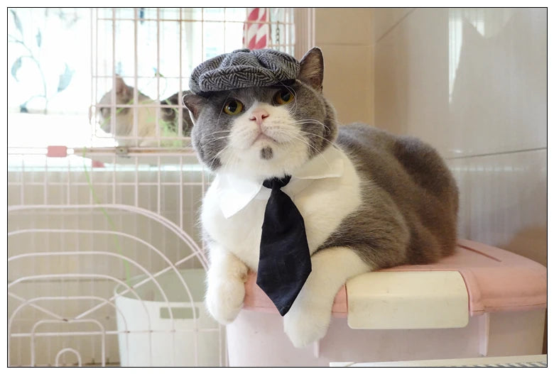 Funny Pet Cat Hat Gentleman's Hat Beret Tie Bathing Blood Gangster Handsome Cosplay Photo Prop Dog Halloween Costume