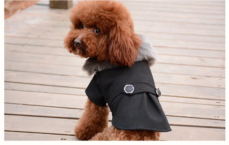 Dog Clothes Super Warm Small Dogs Clothing Pet Outfits Autumn Winter Cartoon Coat Thicker Chihuahua Boy Designer Dog Clothes