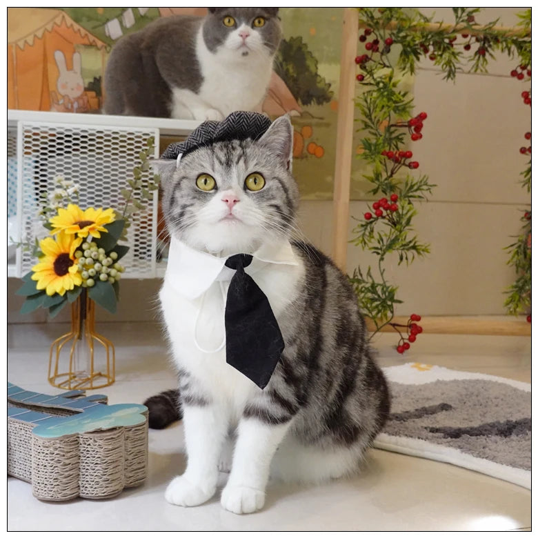 Funny Pet Cat Hat Gentleman's Hat Beret Tie Bathing Blood Gangster Handsome Cosplay Photo Prop Dog Halloween Costume