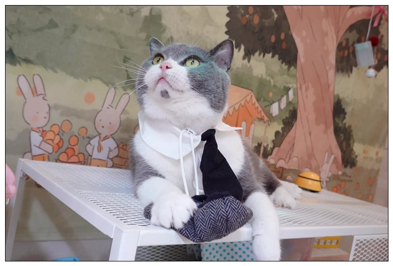 Funny Pet Cat Hat Gentleman's Hat Beret Tie Bathing Blood Gangster Handsome Cosplay Photo Prop Dog Halloween Costume