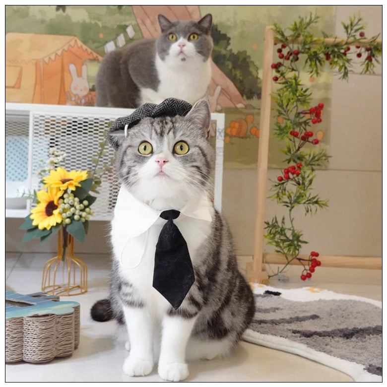 Funny Pet Cat Hat Gentleman's Hat Beret Tie Bathing Blood Gangster Handsome Cosplay Photo Prop Dog Halloween Costume