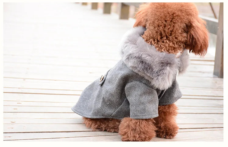 Dog Clothes Super Warm Small Dogs Clothing Pet Outfits Autumn Winter Cartoon Coat Thicker Chihuahua Boy Designer Dog Clothes