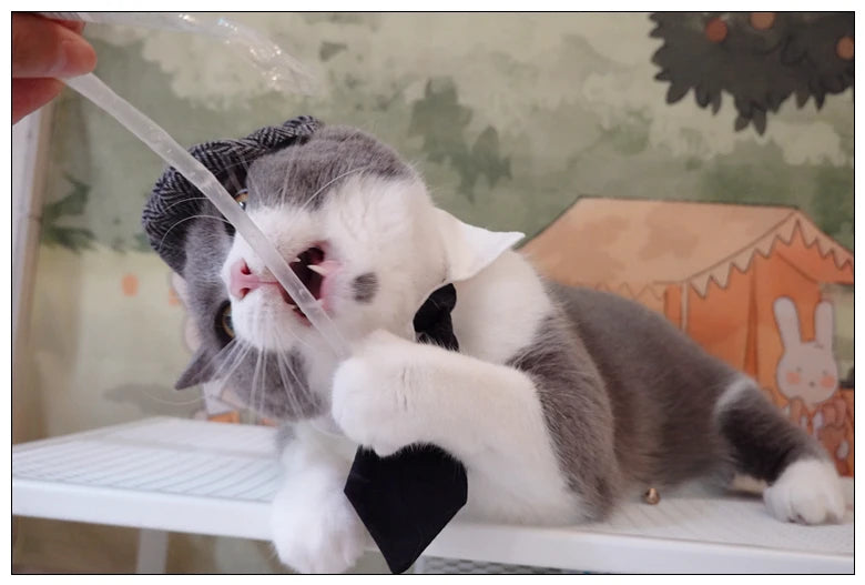 Funny Pet Cat Hat Gentleman's Hat Beret Tie Bathing Blood Gangster Handsome Cosplay Photo Prop Dog Halloween Costume