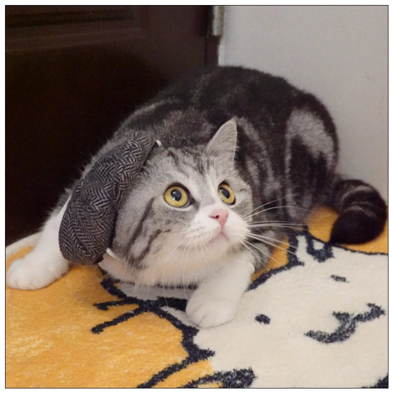 Funny Pet Cat Hat Gentleman's Hat Beret Tie Bathing Blood Gangster Handsome Cosplay Photo Prop Dog Halloween Costume