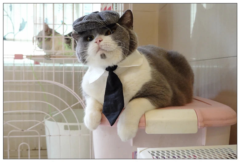 Funny Pet Cat Hat Gentleman's Hat Beret Tie Bathing Blood Gangster Handsome Cosplay Photo Prop Dog Halloween Costume