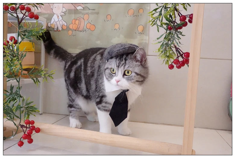 Funny Pet Cat Hat Gentleman's Hat Beret Tie Bathing Blood Gangster Handsome Cosplay Photo Prop Dog Halloween Costume