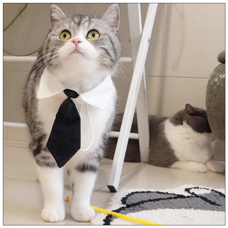 Funny Pet Cat Hat Gentleman's Hat Beret Tie Bathing Blood Gangster Handsome Cosplay Photo Prop Dog Halloween Costume