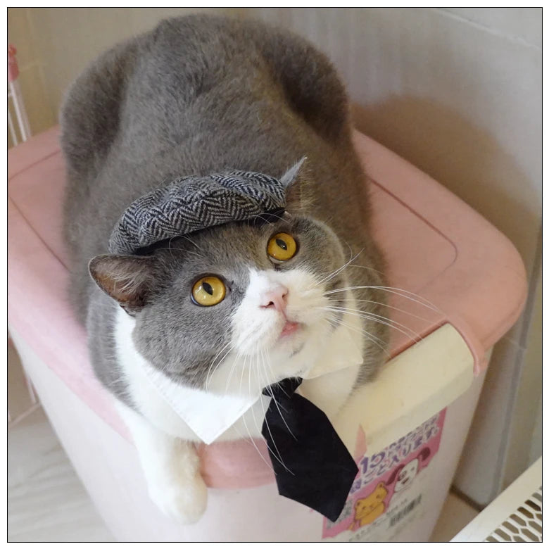 Funny Pet Cat Hat Gentleman's Hat Beret Tie Bathing Blood Gangster Handsome Cosplay Photo Prop Dog Halloween Costume