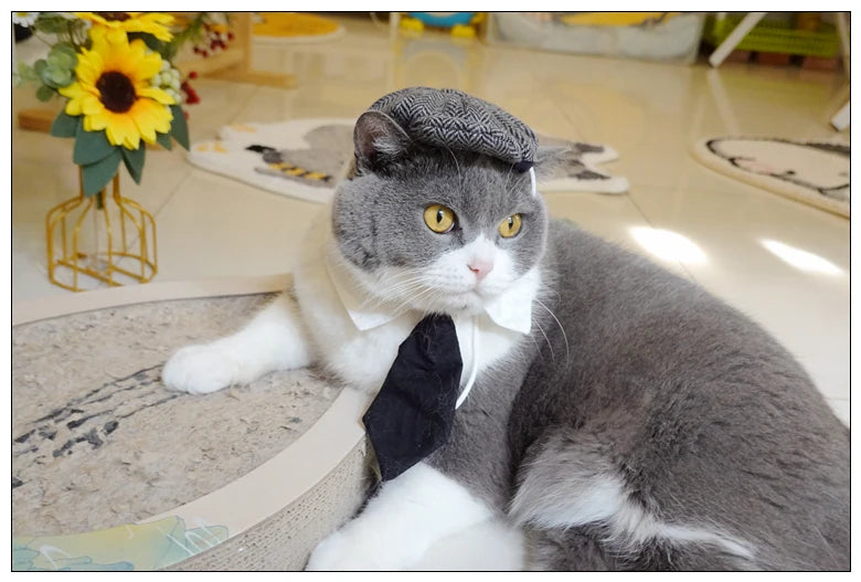 Funny Pet Cat Hat Gentleman's Hat Beret Tie Bathing Blood Gangster Handsome Cosplay Photo Prop Dog Halloween Costume