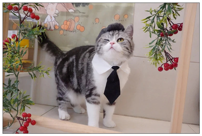 Funny Pet Cat Hat Gentleman's Hat Beret Tie Bathing Blood Gangster Handsome Cosplay Photo Prop Dog Halloween Costume