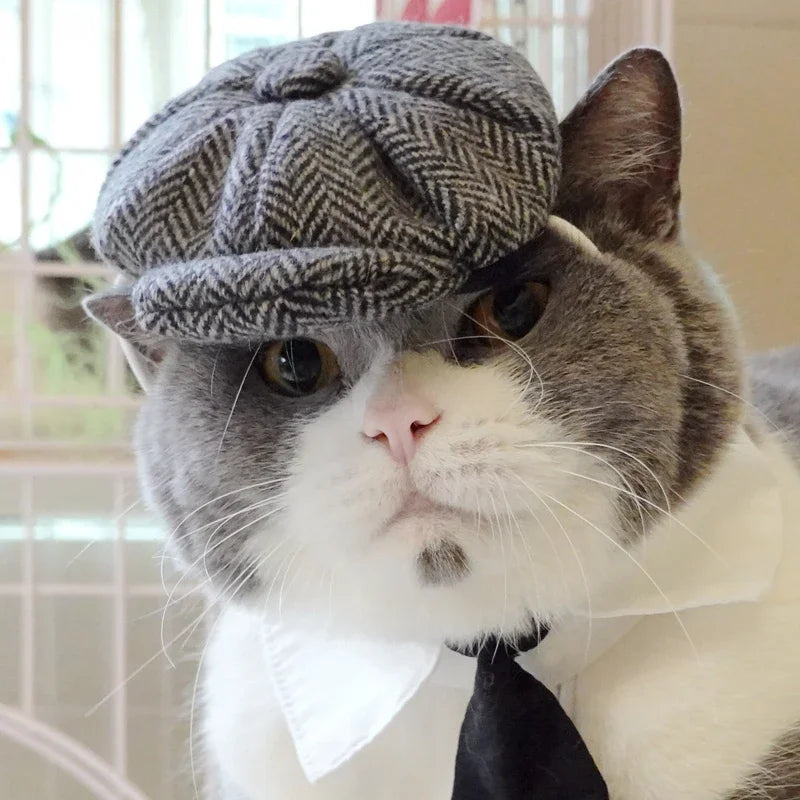 Funny Pet Cat Hat Gentleman's Hat Beret Tie Bathing Blood Gangster Handsome Cosplay Photo Prop Dog Halloween Costume