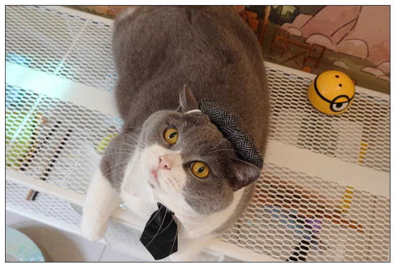 Funny Pet Cat Hat Gentleman's Hat Beret Tie Bathing Blood Gangster Handsome Cosplay Photo Prop Dog Halloween Costume