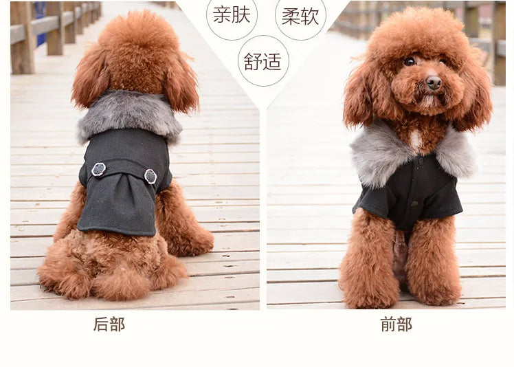 Dog Clothes Super Warm Small Dogs Clothing Pet Outfits Autumn Winter Cartoon Coat Thicker Chihuahua Boy Designer Dog Clothes