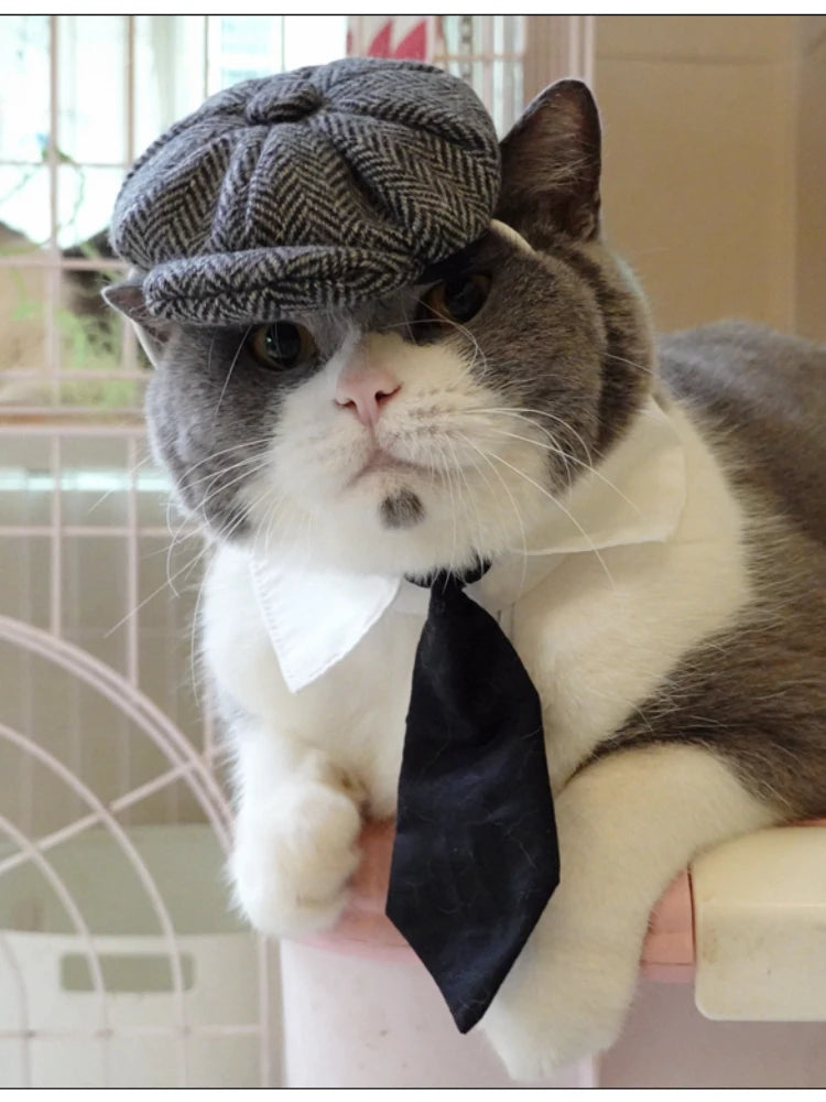 Funny Pet Cat Hat Gentleman's Hat Beret Tie Bathing Blood Gangster Handsome Cosplay Photo Prop Dog Halloween Costume