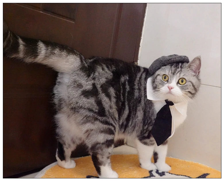 Funny Pet Cat Hat Gentleman's Hat Beret Tie Bathing Blood Gangster Handsome Cosplay Photo Prop Dog Halloween Costume