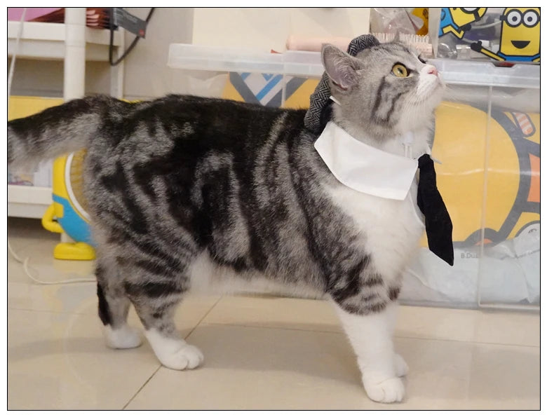 Funny Pet Cat Hat Gentleman's Hat Beret Tie Bathing Blood Gangster Handsome Cosplay Photo Prop Dog Halloween Costume