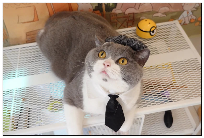 Funny Pet Cat Hat Gentleman's Hat Beret Tie Bathing Blood Gangster Handsome Cosplay Photo Prop Dog Halloween Costume