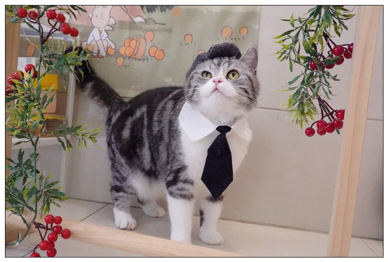 Funny Pet Cat Hat Gentleman's Hat Beret Tie Bathing Blood Gangster Handsome Cosplay Photo Prop Dog Halloween Costume