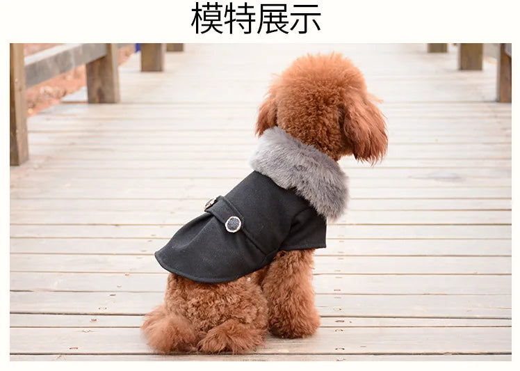 Dog Clothes Super Warm Small Dogs Clothing Pet Outfits Autumn Winter Cartoon Coat Thicker Chihuahua Boy Designer Dog Clothes