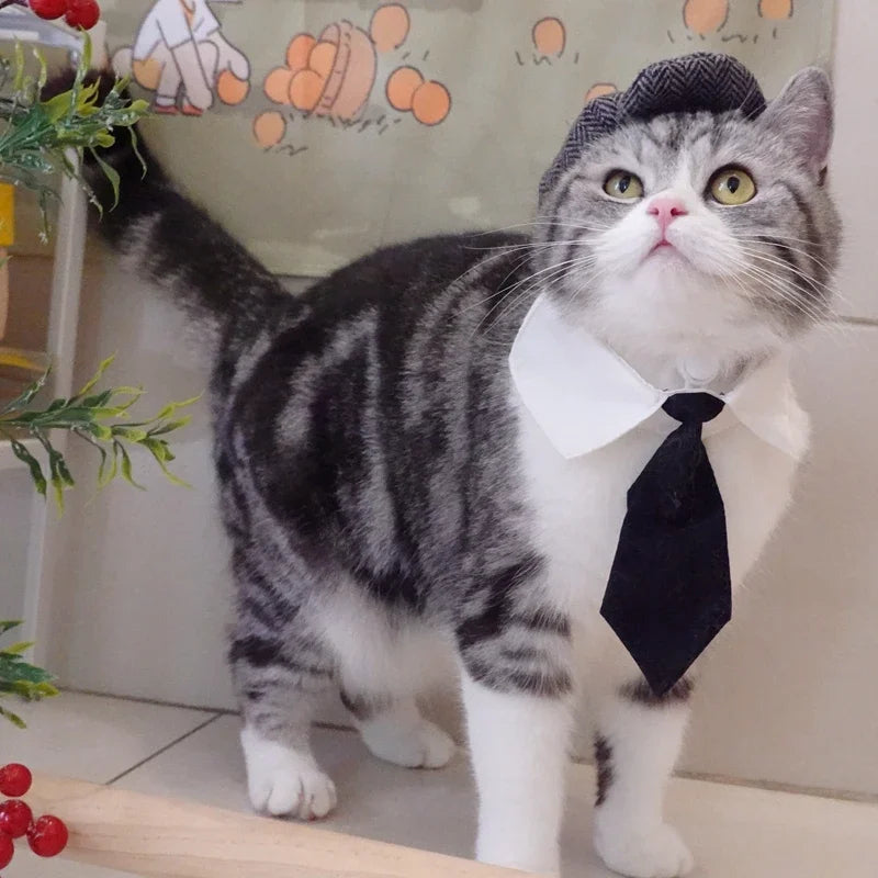 Funny Pet Cat Hat Gentleman's Hat Beret Tie Bathing Blood Gangster Handsome Cosplay Photo Prop Dog Halloween Costume