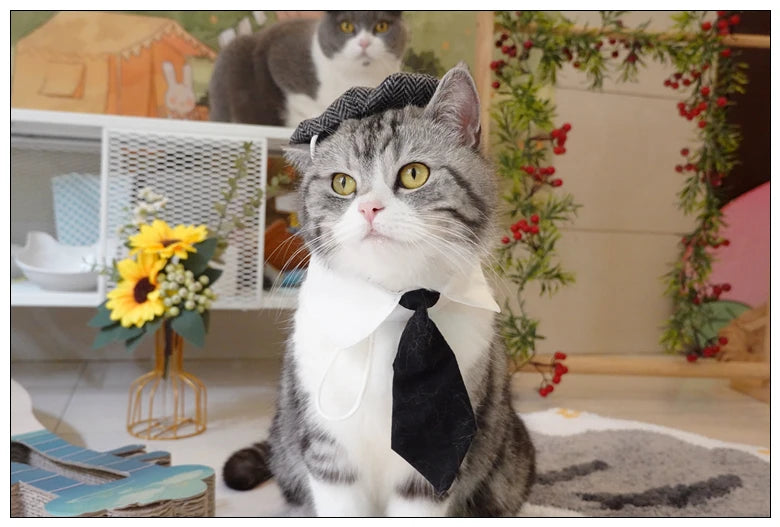 Funny Pet Cat Hat Gentleman's Hat Beret Tie Bathing Blood Gangster Handsome Cosplay Photo Prop Dog Halloween Costume