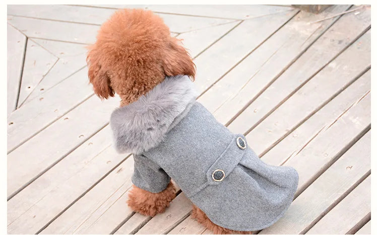 Dog Clothes Super Warm Small Dogs Clothing Pet Outfits Autumn Winter Cartoon Coat Thicker Chihuahua Boy Designer Dog Clothes