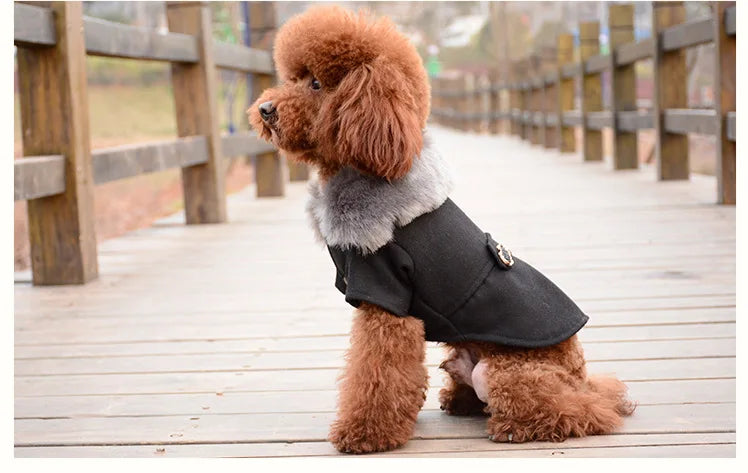 Dog Clothes Super Warm Small Dogs Clothing Pet Outfits Autumn Winter Cartoon Coat Thicker Chihuahua Boy Designer Dog Clothes