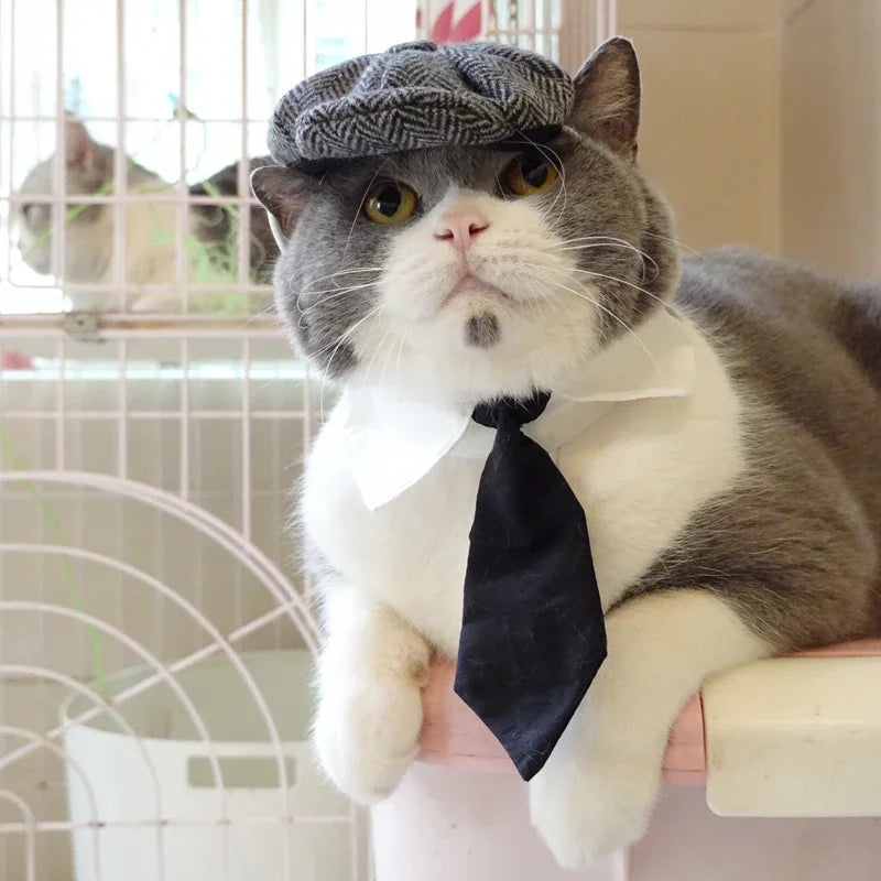Funny Pet Cat Hat Gentleman's Hat Beret Tie Bathing Blood Gangster Handsome Cosplay Photo Prop Dog Halloween Costume