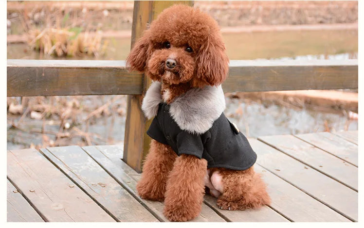 Dog Clothes Super Warm Small Dogs Clothing Pet Outfits Autumn Winter Cartoon Coat Thicker Chihuahua Boy Designer Dog Clothes