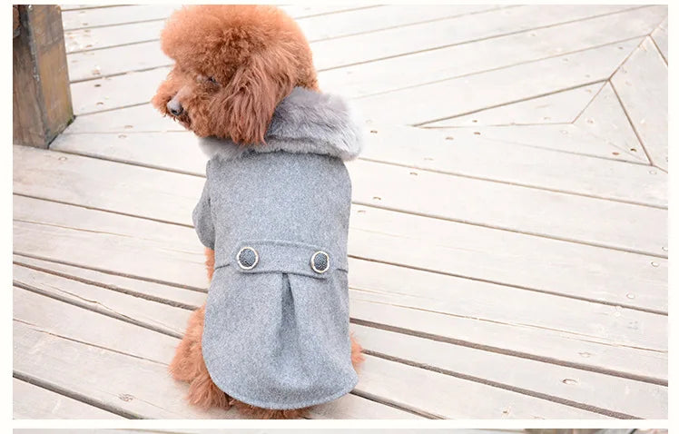 Dog Clothes Super Warm Small Dogs Clothing Pet Outfits Autumn Winter Cartoon Coat Thicker Chihuahua Boy Designer Dog Clothes