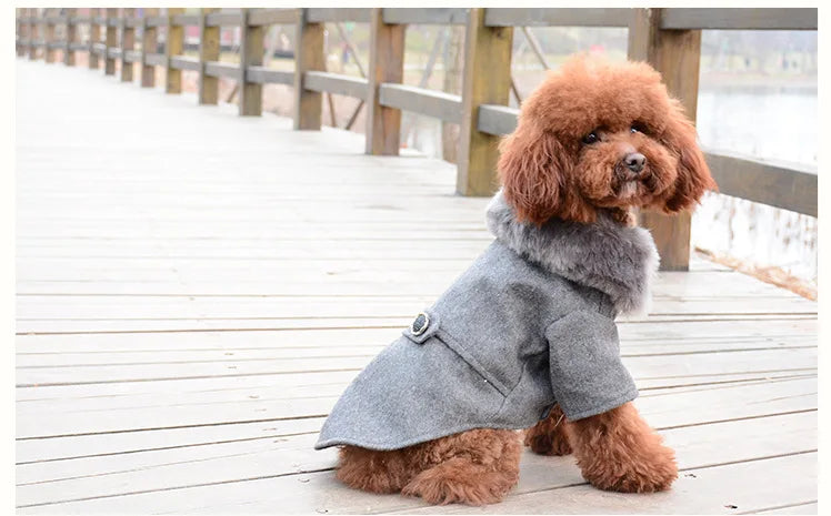 Dog Clothes Super Warm Small Dogs Clothing Pet Outfits Autumn Winter Cartoon Coat Thicker Chihuahua Boy Designer Dog Clothes