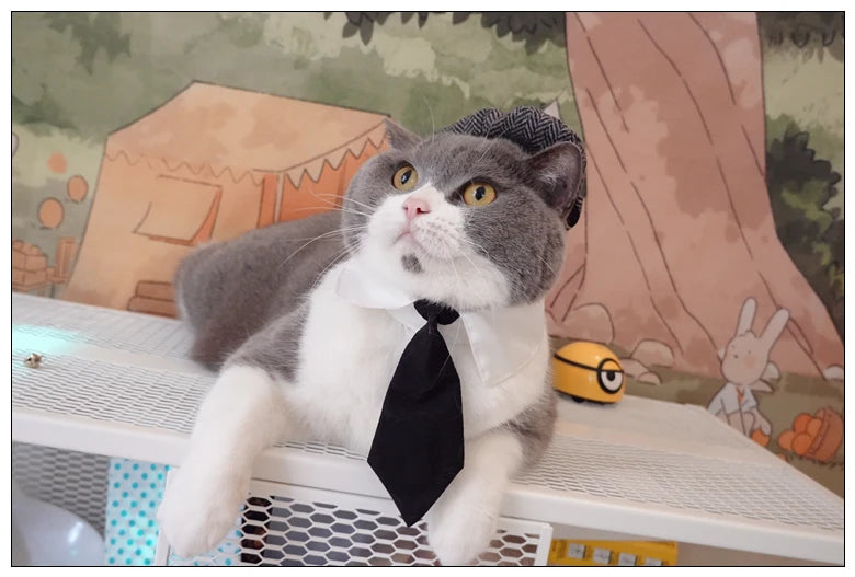 Funny Pet Cat Hat Gentleman's Hat Beret Tie Bathing Blood Gangster Handsome Cosplay Photo Prop Dog Halloween Costume