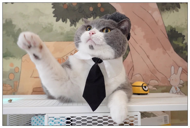 Funny Pet Cat Hat Gentleman's Hat Beret Tie Bathing Blood Gangster Handsome Cosplay Photo Prop Dog Halloween Costume