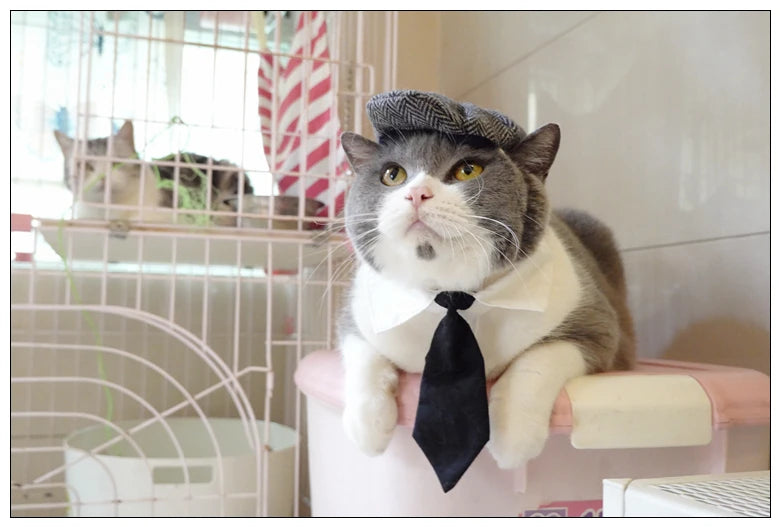 Funny Pet Cat Hat Gentleman's Hat Beret Tie Bathing Blood Gangster Handsome Cosplay Photo Prop Dog Halloween Costume