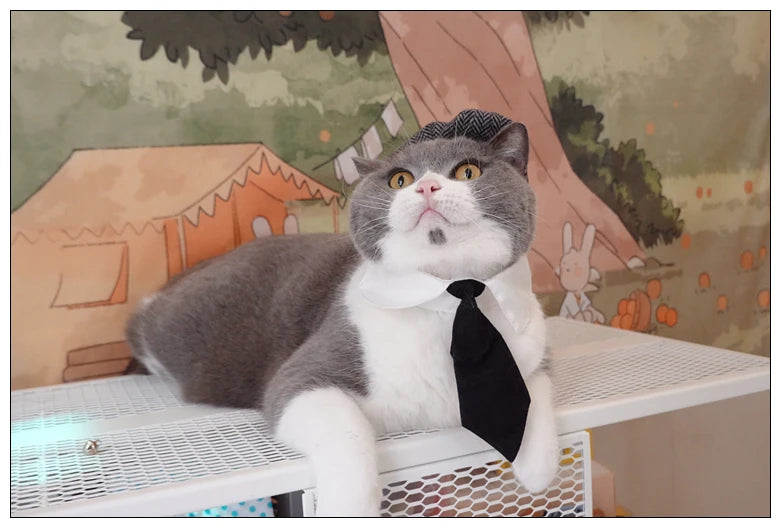 Funny Pet Cat Hat Gentleman's Hat Beret Tie Bathing Blood Gangster Handsome Cosplay Photo Prop Dog Halloween Costume